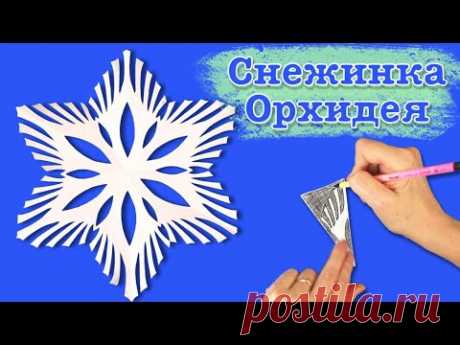Домашняя снежинка из бумаги. Как вырезать простую снежинку. Paper snowflake.