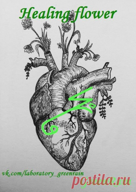Став Healing flower. Автор GreenRain