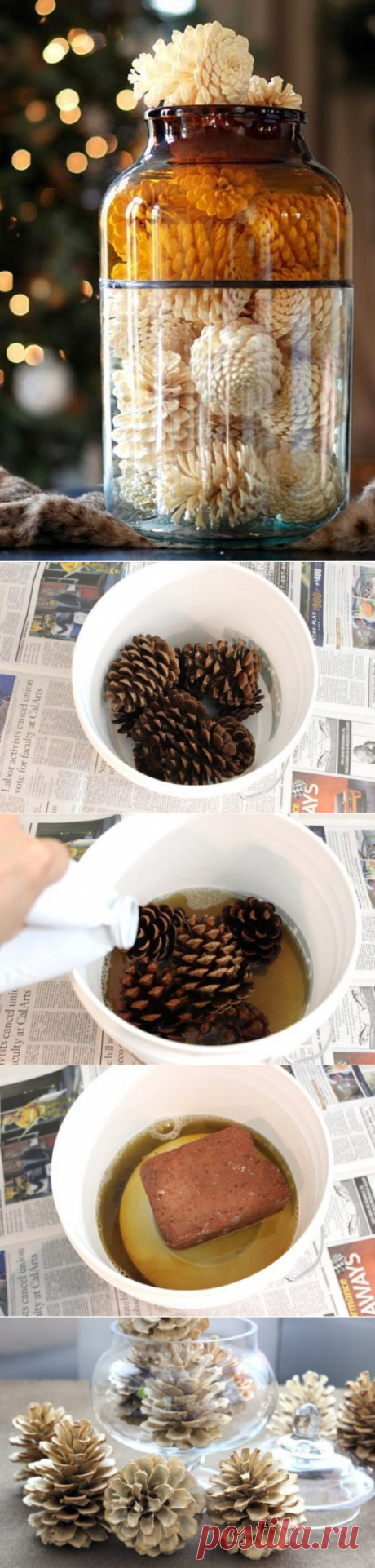 Как отбелить сосновые шишки