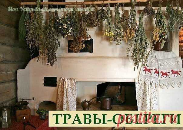 КАК С ПОМОЩЬЮ ТРАВ УЛУЧШИТЬ СОБСТВЕННУЮ ЖИЗНЬ. СОВЕТЫ ШАМАНА

Травы — это самая древняя в мире целительная сила. Как с помощью элементарной ботаники улучшить собственную жизнь, советует шаман.

Отпугнуть завистников и недоброжелателей

Если на работе у вас не слишком хороший коллектив, то на вас постоянно идут импульсы зависти и злобы. Защититься от них можно с помощью можжевельника. Поставьте на стол можжевеловый предмет. Можжевельник — мощное бесогонное растение. Он исто...