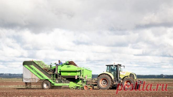 Воробьев рассказал об итогах уборочной кампании этого года в Подмосковье. В 2023 году в Подмосковье собрали рекордный за 10 лет урожай зерновых - 720 тыс. тонн, что на 6% больше, чем в 2022 году. Об этом стало известно на еженедельном совещании губернатора региона Андрея Воробьева с областным правительством и ...