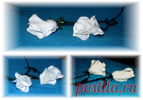 Необычные обычные розы