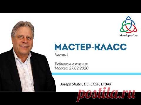 Мастер-класс Джозефа Шейфера. Часть 1. Вейновские чтения 2020