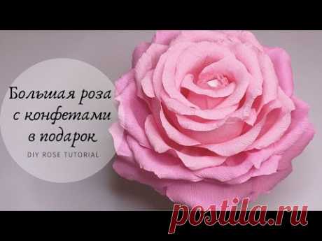 Подарок своими руками / Большая роза с конфетами из гофрированной бумаги / DIY Rose Tutorial - YouTube

В видео покажу как сделать большую розу из гофрированной бумаги с конфетками внутри. Делается очень просто и быстро и такая роза может стать отличным подарком который точно понравится.

#большиецветы #розыизбумаги #подароксвоимируками