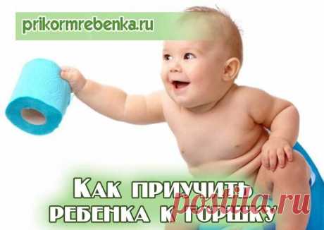 Как научить малыша ходить по своим &amp;#171;делам&amp;#187; на горшок: рекомендации для родителей и методы приучения