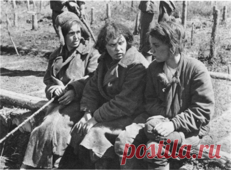 Соловецкие лагеря особого назначения, иначе называемого СЛОН. Это страшное место, куда, прежде всего, ссылали политзаключённых, стало каторгой для более 2500 женщин, часть из которых мужланы-надзиратели превратили в своих наложниц.