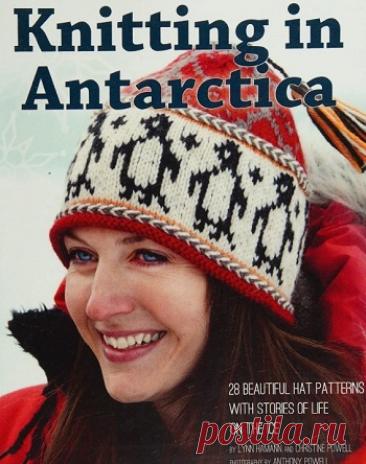 МИР ПРЕКРАСЕН: Knitting in Antarctica 2017