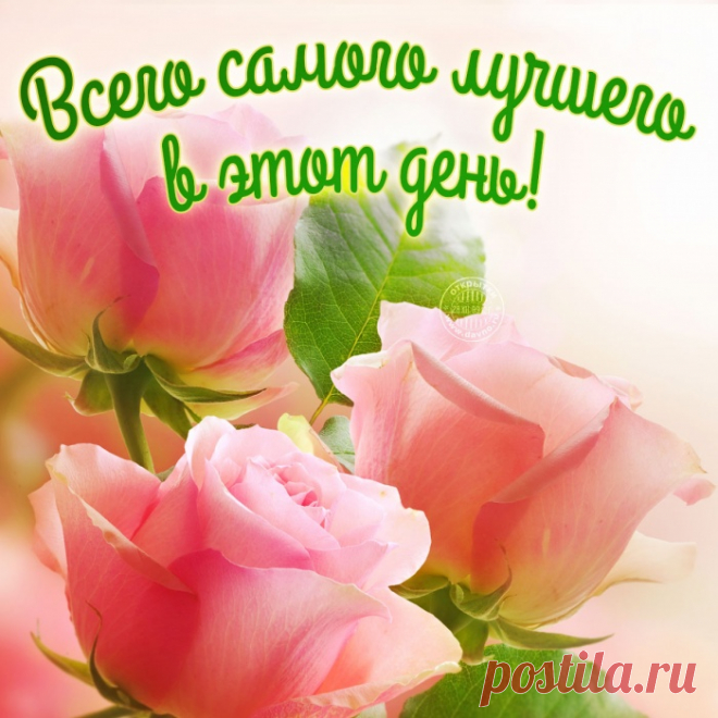 oe_42426989dc2a400bbfe8bc2c07878c80.jpeg (700×700)