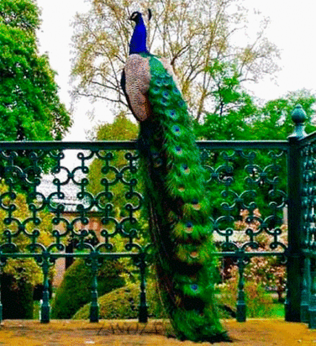 Мой Мир@Mail.Ru