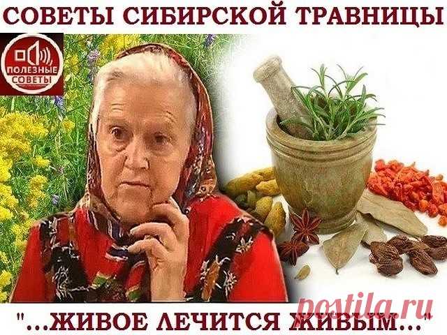 СОВЕТЫ СИБИРСКОЙ ТРАВНИЦЫ.

ЖИВОЕ ЛЕЧИТСЯ ЖИВЫМ.


— Елена Федоровна, почему лучше пить траву, а не принимать таблетку?

— У меня был разговор с врачами: «Зачем вы лечите мертвыми таблетками? Там шлифовка, штамповка, красители, химия». 
— «А ваши травы тоже сухие, мертвые». 
— «Моими травами вся Россия лечилась. 
Сухими травами вся скотина питалась. 
Коровы молоко давали, овцы — мясо. 
Значит, эти травы не мертвые. 

Вот сухое семя укропа. 
А из него вырастет высокий, цвет...