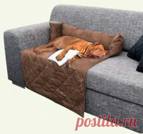 Warm Pet Soft