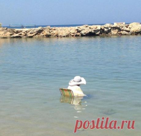 Необычные пляжные снимки - Фишки.нет