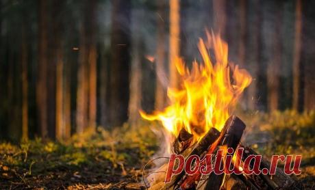 Когда люди научились использовать огонь? И как они обходились без спичек?!