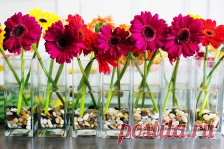 (5) Pinterest • Всемирный каталог идей