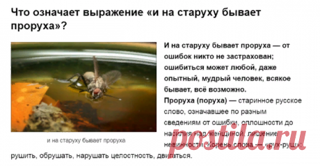 Происхождение и объяснение поговорки И на старуху бывает проруха | ЧТО ОЗНАЧАЕТ