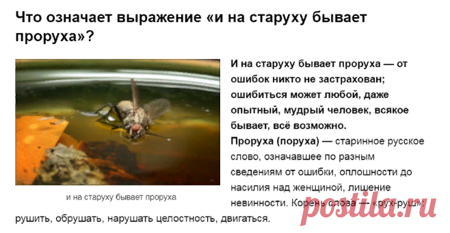 Происхождение и объяснение поговорки И на старуху бывает проруха | ЧТО ОЗНАЧАЕТ