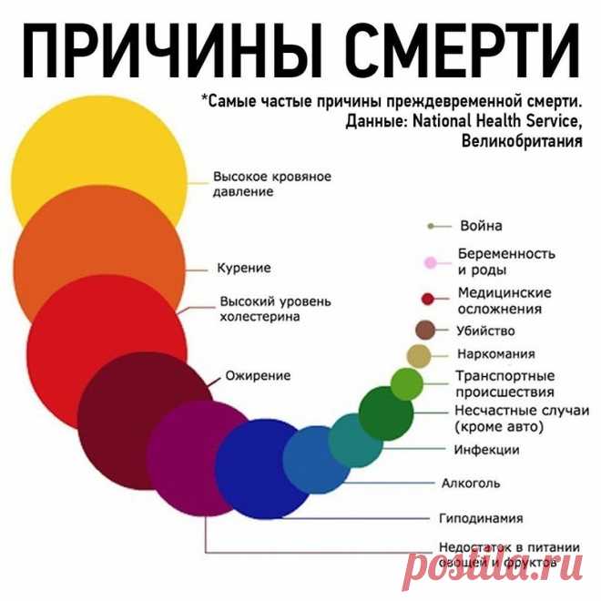 (88) Мой Мир@Mail.Ru
