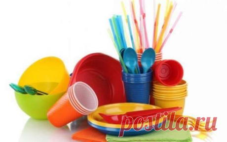 Какую опасность и вред для человека может иметь одноразовая посуда — Домашние