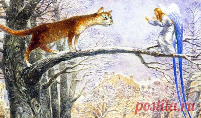 – Мир тебе, – ласково сказал Ангел, присаживаясь рядом с Котом на толстую ветку и стряхивая с неё снег. – Привет, – Кот приоткрыл зелёный глаз, лениво оглядел Ангела и отвернулся. Ангел спрятал под крыльями босые ноги и посмотрел вниз. Под ними лежал белый двор, полный смеха, визга, летающих снежков и скрипа шагов. – Высоко ты забрался, – сказал Ангел, оценивая расстояние до земли. – Зато сюда даже Сашкин снежок не долетит. Ангел понимающе кивнул и подобрал опущенные крылья. Помолчали. – А ты…