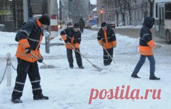 Власти Ростова предлагают жаловаться на отсутствие дворников