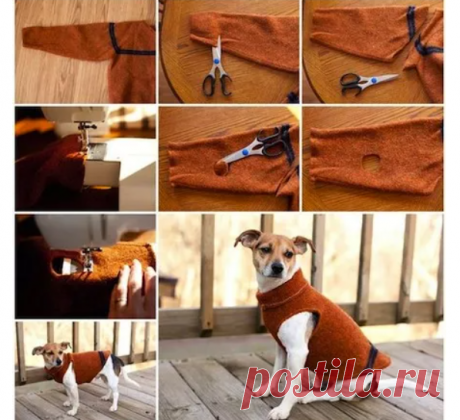 Свитерок для пса DIY