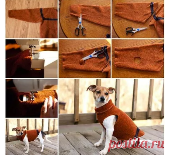 Свитерок для пса DIY