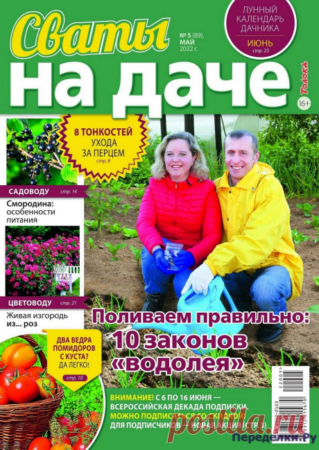 Сваты на даче №5 2022 - Переделки.РуПеределки.Ру