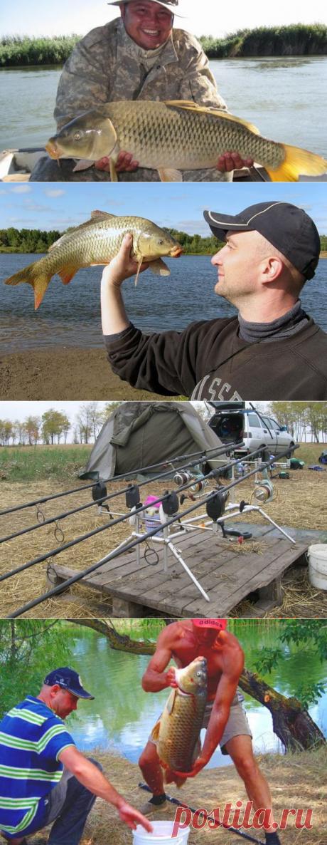 Можно ли поймать сазана на карповые снасти? Часть 1