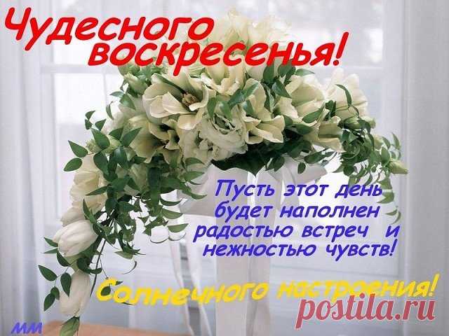 Картинки пожелания «Хорошего воскресного дня!» (12 фото) ⭐ Забавник