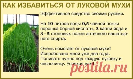 ✔ ПОЛЕЗНЫЕ СОВЕТЫ :
✪ Сохраните чтобы не потерять.