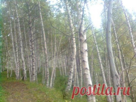 Тоғызбұлақ ауылы | ВКонтакте