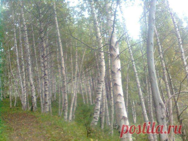 Тоғызбұлақ ауылы | ВКонтакте