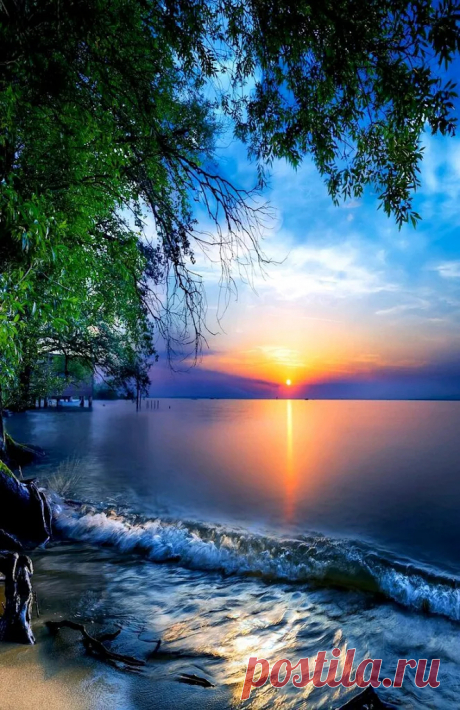 Google+