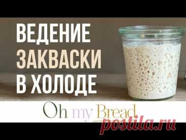 Как хранить закваску в холодильнике. Пошаговая инструкция от А до Я