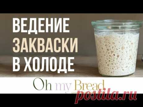 Как хранить закваску в холодильнике. Пошаговая инструкция от А до Я