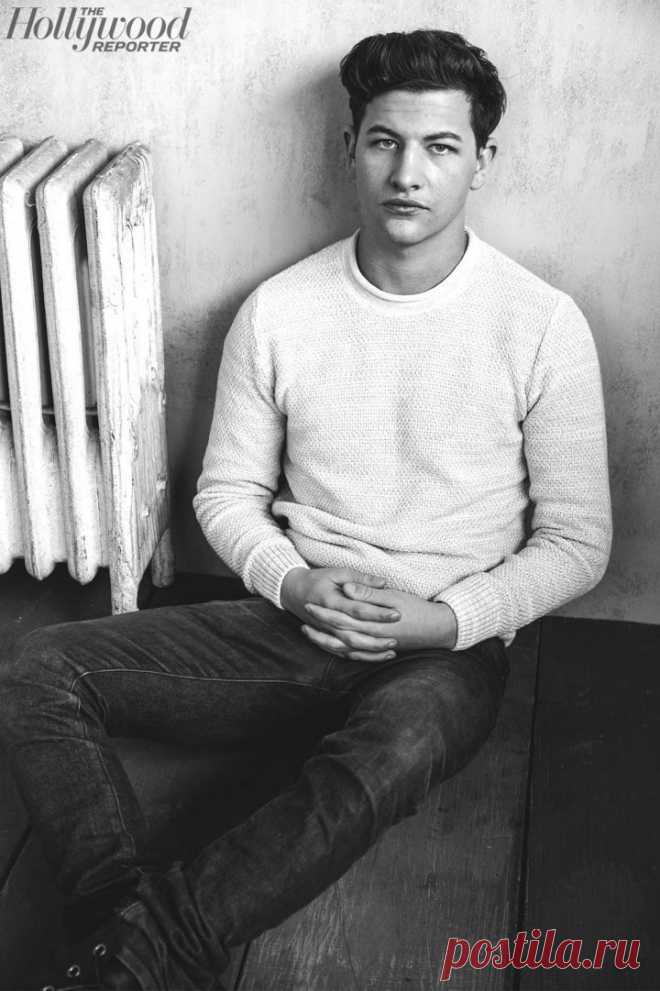 Тай Шеридан, 11 ноября, 1996