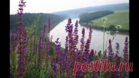 Дністер широкий - Ukrainian song "Wide Dniester" by Svitanok