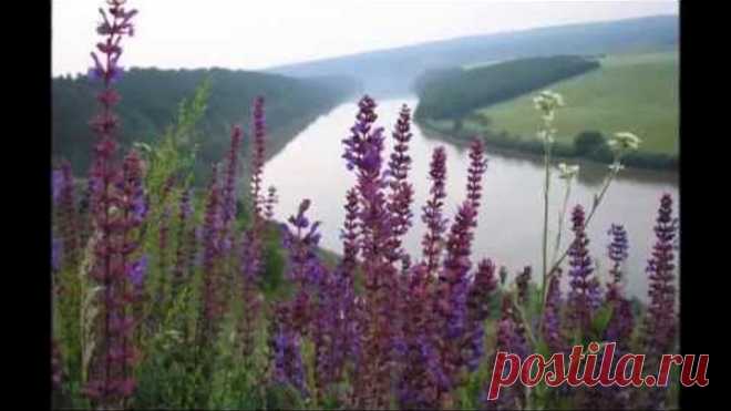 Дністер широкий - Ukrainian song 