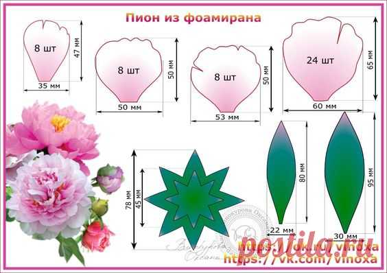 пион