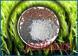 Когда и как удобрять газон весной: советы и приёмы