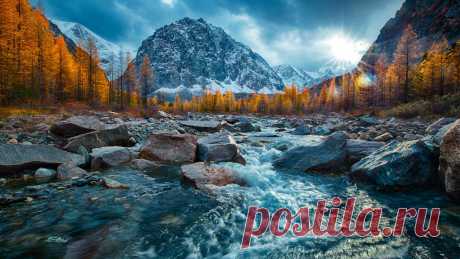 Скачать обои осень, лес, горы, река, камни, Россия, Алтай, Алтайские горы, раздел пейзажи в разрешении 1920x1080