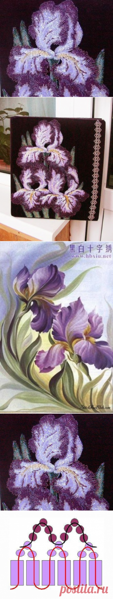 (72) Одноклассники