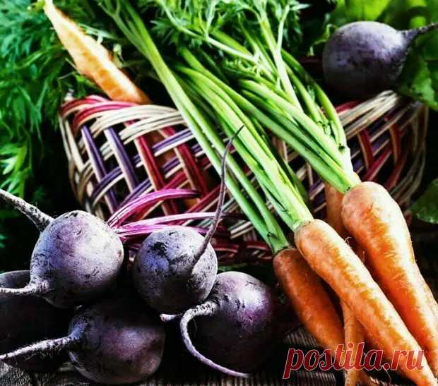 Старинный рецепт настойки молодости. Открываем 
