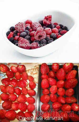Как заморозить ягоды на зиму | СЕМЕЙНЫЙ КАПИТАЛ