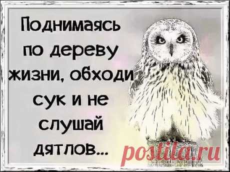 (89) Одноклассники