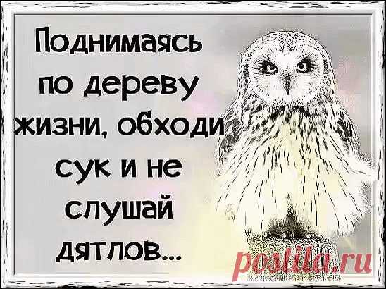 (89) Одноклассники