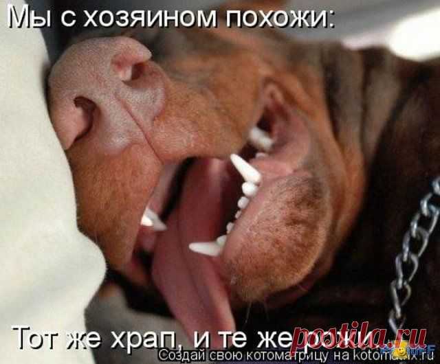 прелесть!