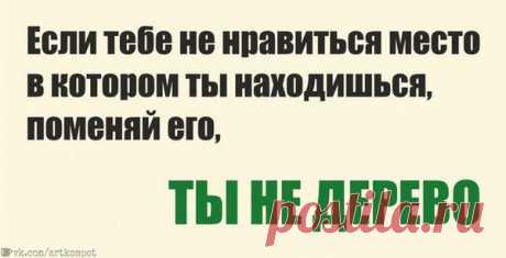 Ты не дерево!.