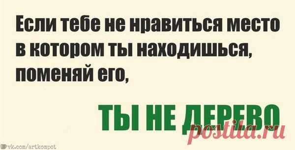 Ты не дерево!.