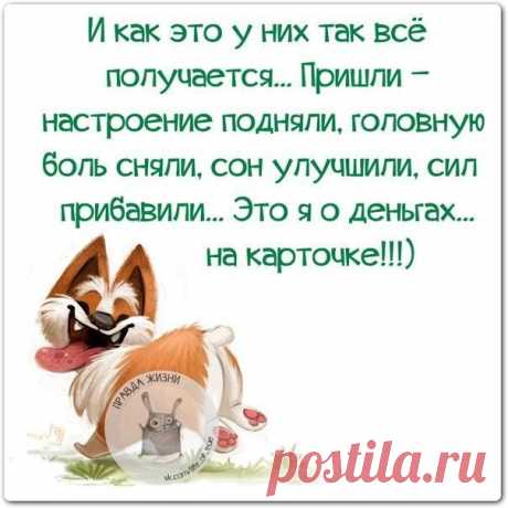 Крутые анекдоты для поднятия настроения